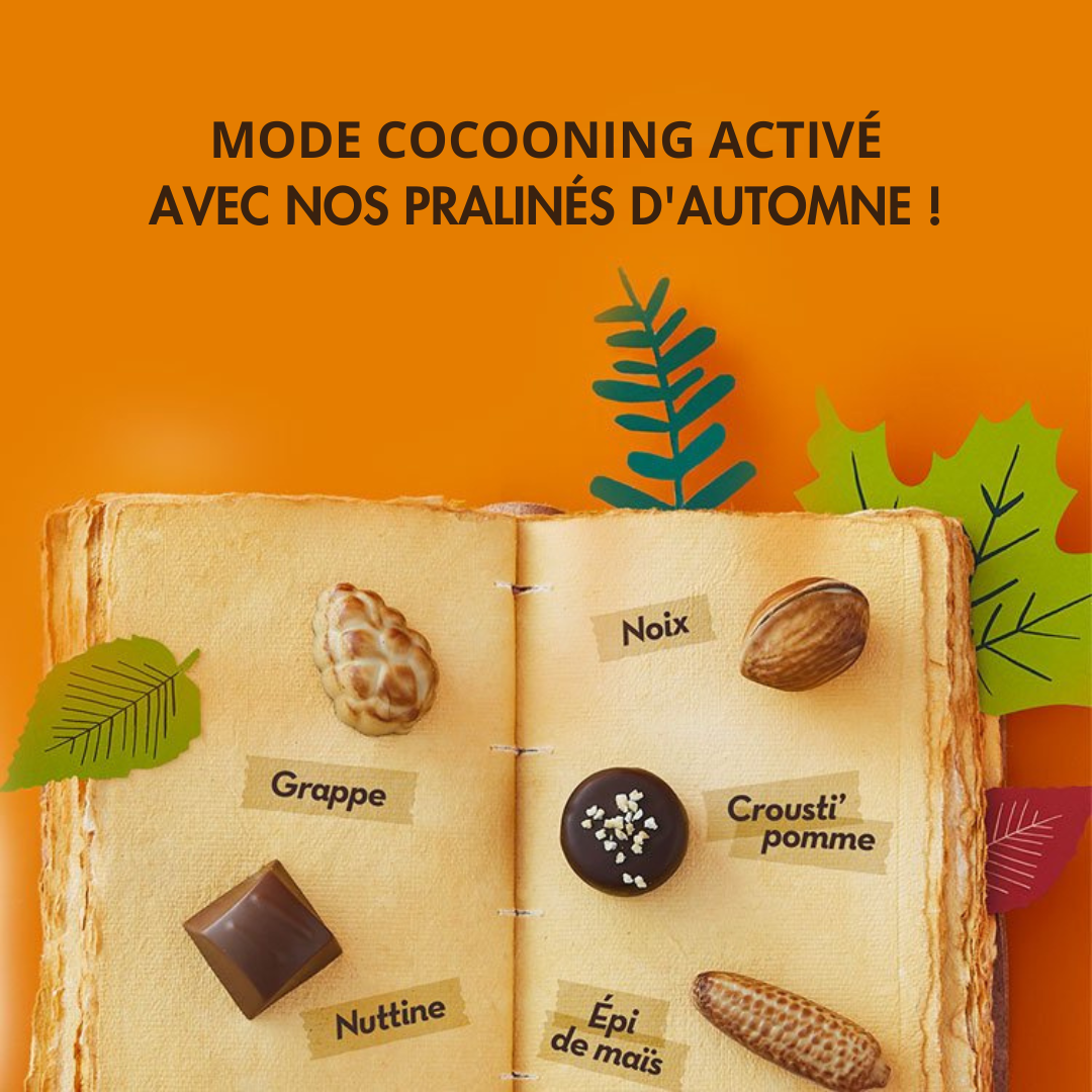 Mode cocooning activé avec nos pralinés d'automne !